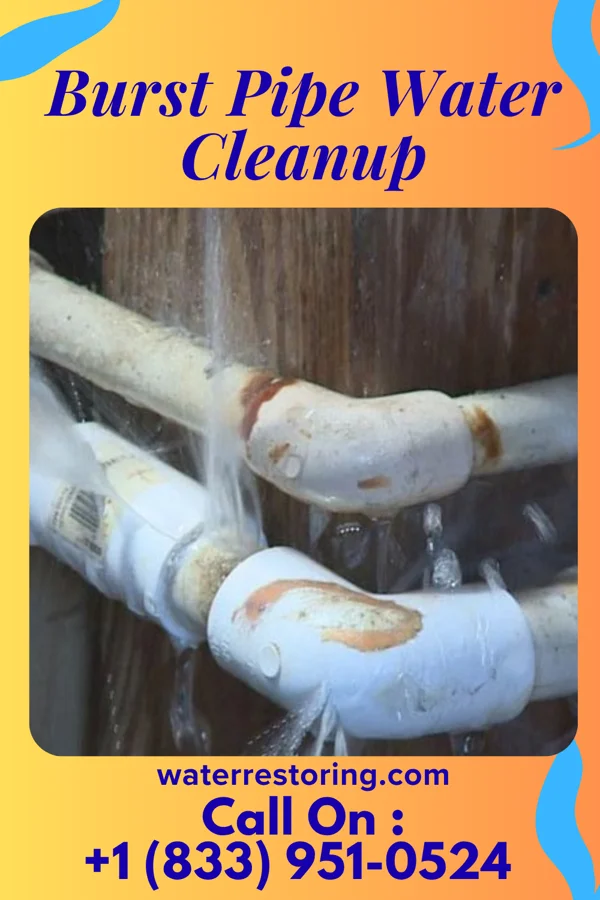 Burst Pipe Water Cleanup in Waukegan, IL