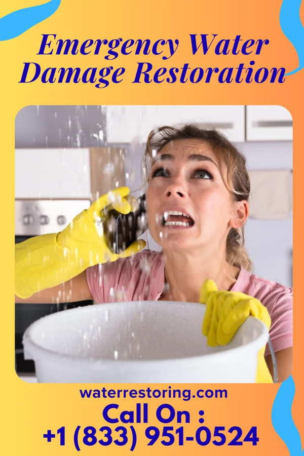 Emergency Water Damage Restoration in Waukegan, IL